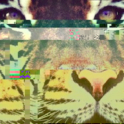 glitch project tiger